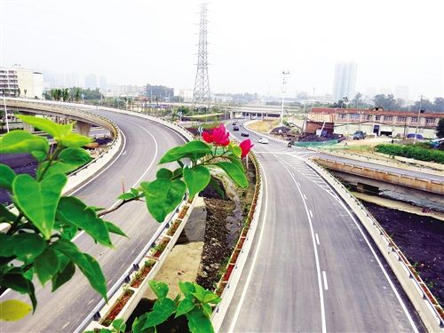 南宁:话改革谋发展 共同描绘未来蓝图