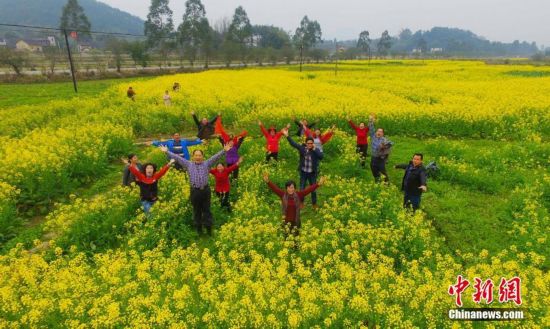 广西农民用油菜花种出增收梦