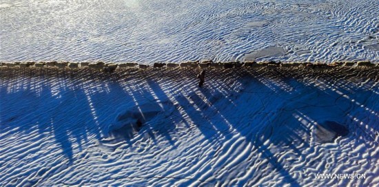 CHINA-TIBET-WINTER-HERD-MIGRATION (CN)