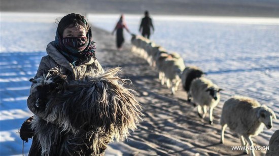 CHINA-TIBET-WINTER-HERD-MIGRATION (CN)