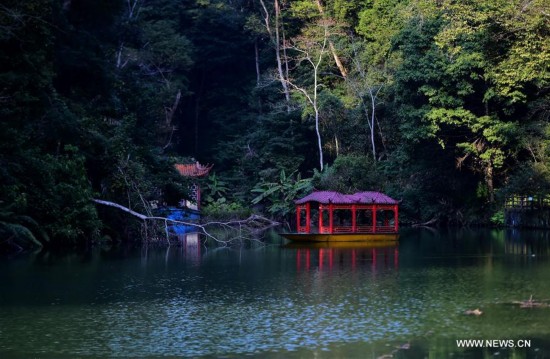 Photo taken on Feb. 18, 2017 shows spring scenery of the Sanyuan National Forest Park in Sanming City, southeast China's Fujian Province.