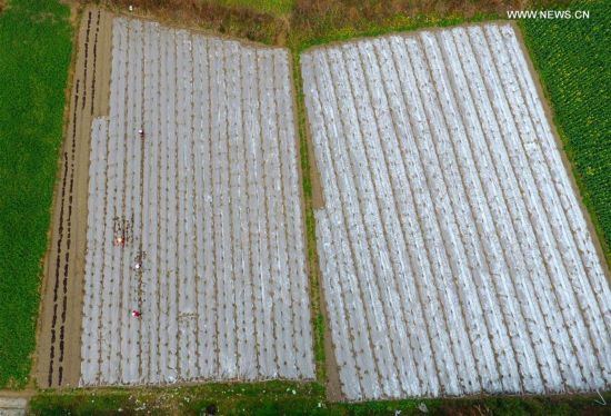 #CHINA-EARLY SPRING-SCENERY (CN)