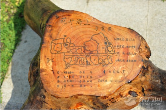 申城最大生态园花开海上开园迎客