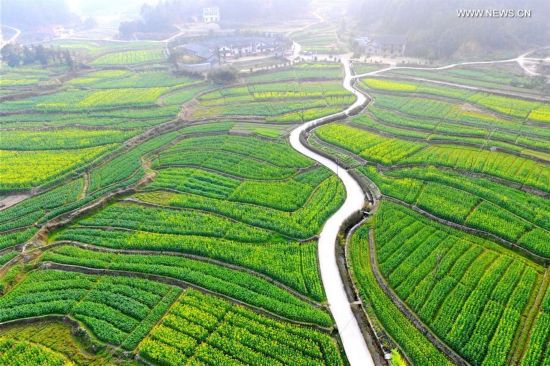 #CHINA-EARLY SPRING-SCENERY (CN)