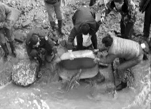 连云港灌云一渔民捕到野生中华鲟放归大海