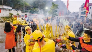 深圳百人舞草龙