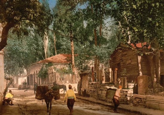 19世纪末彩照展现奥斯曼帝国壮丽景象