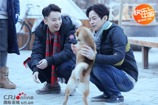 《向往的生活》柴犬小H长大成Hplus