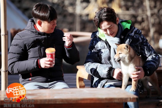 《向往的生活》柴犬小H长大成 Hplus