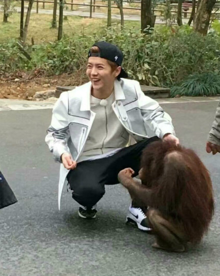 《奔跑吧》开录 鹿晗牵手猩猩 迪丽热巴陈伟霆