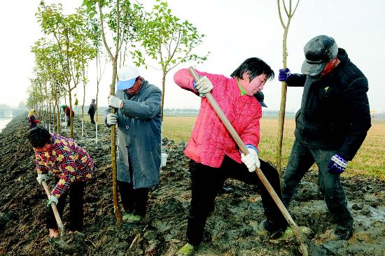 盐城盐都大冈镇开展植树造林 提升绿化水平