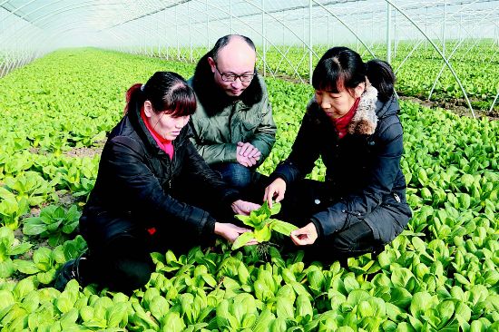 盐都人口_盐都报道(3)