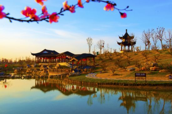 梅派 大师胡文阁将到大丰参加国际梅花节