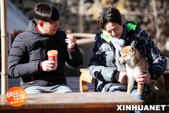 《向往的生活》萌犬小H长大 胖到黄磊何炅不敢