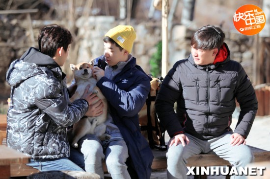 《向往的生活》萌犬小H长大 胖到黄磊何炅不敢