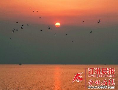 大湖之畔 惊起一滩鸥鹭