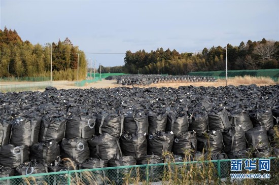 探访福岛核泄漏区:劫后空城 野草在疯长--人民