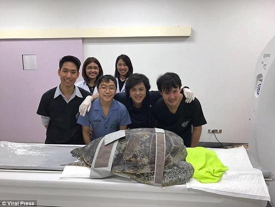 海龟误吞上千许愿币 兽医怀疑它的体内有肿瘤
