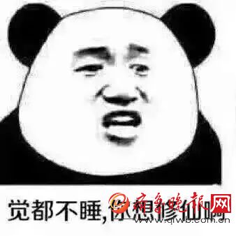 么表情梗?不睡觉你想修仙搞笑图片表情包凶超我意思图片