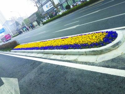 南京常府街和草场门大街道路环境整治将完工