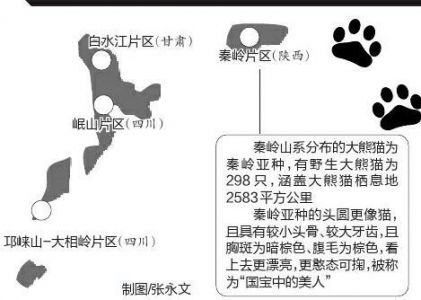 大熊猫国家公园试点方案获批 将覆盖川陕甘三省