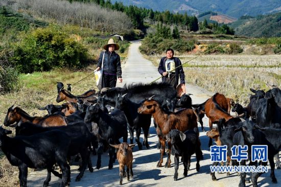 建瓯市有多少人口