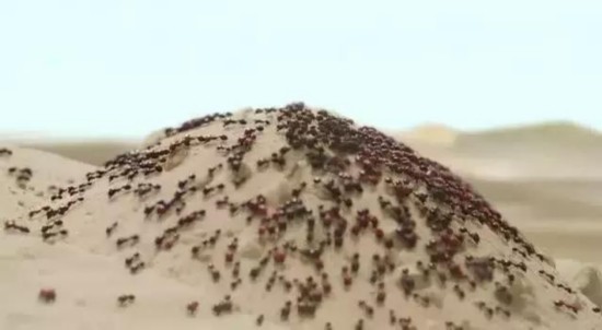 《三生三世十里桃花》文昌帝君是谁?是东华帝