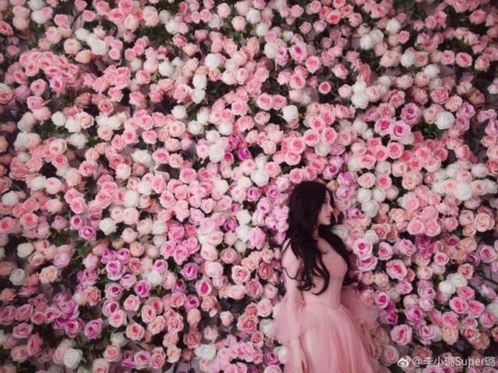 李小璐穿粉裙置身花海 纱裙裹身露甜笑(图)