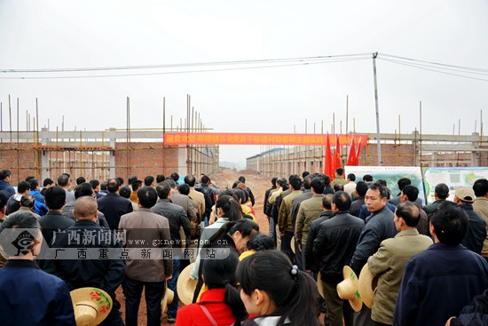 南宁邕宁区那楼镇三江村:种桑养蚕 推进精准扶