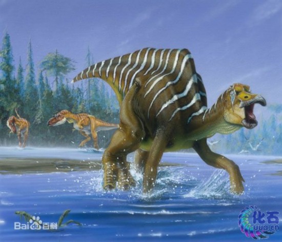 Photo shows a hadrosaur. [Photo: Baidu]