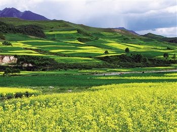 名词解释里的海东故事