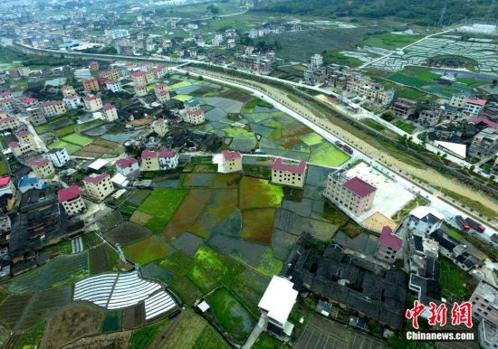 揭阳榕城东阳新苏村多少人口_揭阳榕城地图(3)
