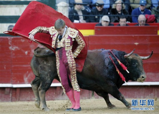 西班牙：火祭节斗牛（组图）