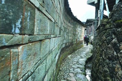 福建省泰宁县大龙乡善溪村有多少人口