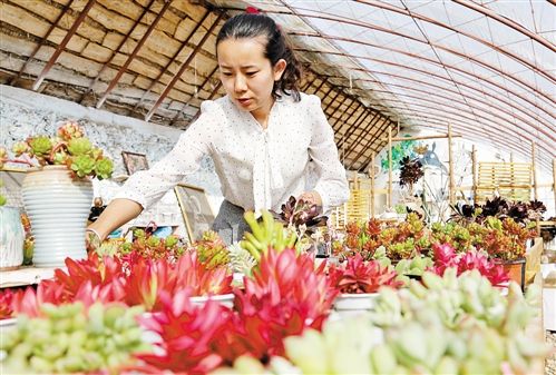 温室花园风光好--内蒙古新闻