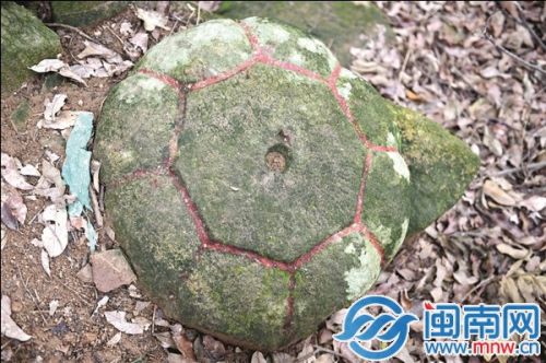 新发现的石盖长满青苔