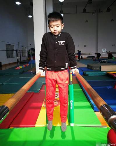 子承父业!?杨威微博晒杨阳洋练体操照片