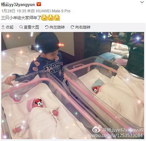 杨威晒双胞胎女儿写真却被杨阳洋抢镜 杨云竟吃醋大哭