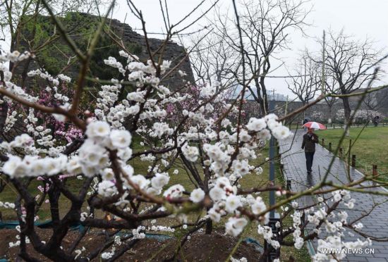 Cold front brings rainfall to Beijing