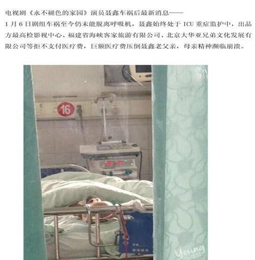 聂鑫  