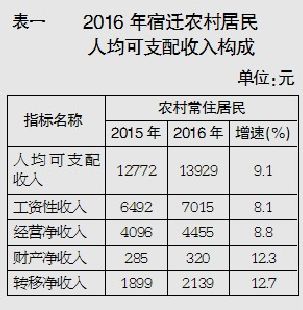 平面构成_农民收入构成报告(2)