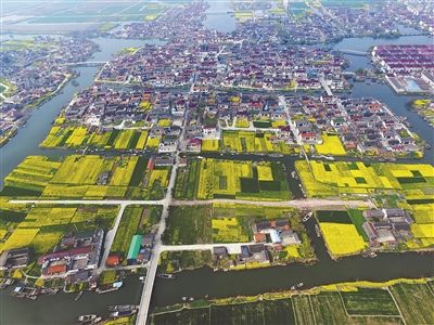 盐城溱东镇村庄房被碧水环抱 房前屋后皆风景