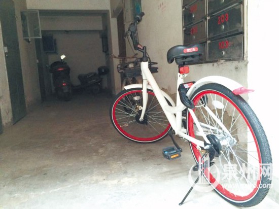 泉州全城招募志愿 猎人 曝光共享单车不文明行