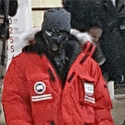 主角在哪里?漫威公开电影《黑豹》剧照