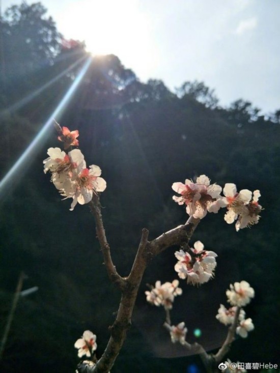 田馥甄微博疑似隔空认爱!陈嘉桦的微博好样的