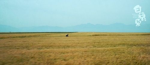 《白鹿原》“原”来如此正片组图 陕西风情嫽扎咧