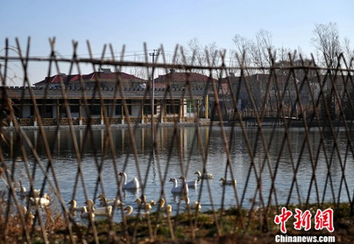 資料圖：河北省安新縣的一個村庄。<a target='_blank'  data-cke-saved-href='http://www.chinanews.com/' href='http://www.chinanews.com/' _fcksavedurl='http://www.chinanews.com/'></table><p  align=