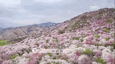 20170404134223366.gif