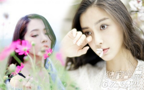 春日赏花拒绝呆板!Baby高圆圆美照大合集 你也可以比花娇