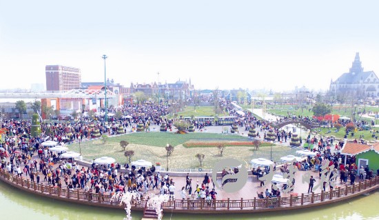 盐城大丰荷兰花海游客爆满 郁金香竞相开放